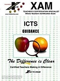 Icts Guidance (Paperback)