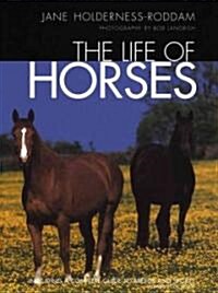 The Life of Horses (Hardcover)