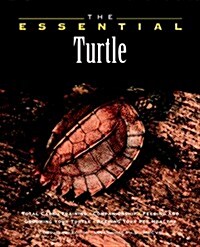 The Essential Turtle (Paperback)