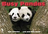 Busy Pandas (Board Books)