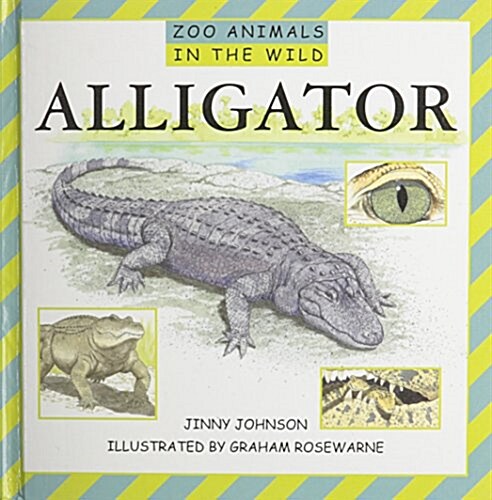 Alligator (Library Binding)