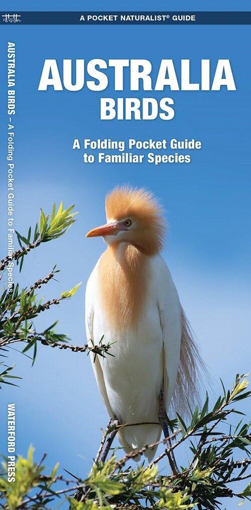 Australia Birds: A Folding Pocket Guide to Familiar Species (Folded)