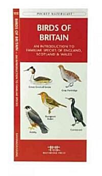 Birds of Britain: A Folding Pocket Guide to Familiar Species of England, Scotland & Wales (Paperback)