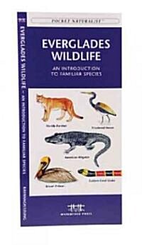 Everglades Wildlife: A Folding Pocket Guide to Familiar Animals (Paperback)