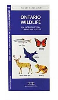 Ontario Wildlife: A Folding Pocket Guide to Familiar Animals (Paperback, 2)