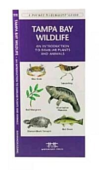 Tampa Bay Wildlife: A Folding Pocket Guide to Familiar Plants and Animals (Paperback)