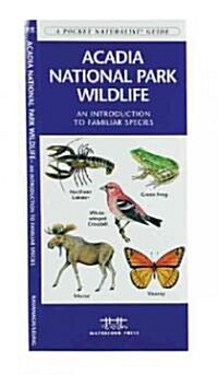 Acadia National Park Wildlife: A Folding Pocket Guide to Familiar Species (Other)