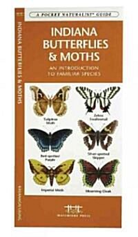 Indiana Butterflies & Moths: An Introduction to Familiar Species (Hardcover)