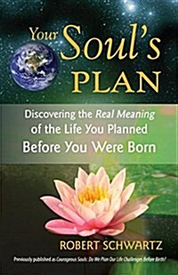 Your Souls Plan: Discovering the Real Meaning of the Life You Planned Before You Were Born (Paperback)