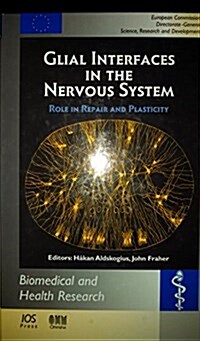 Glial Interfaces in the Nervous System (Hardcover)