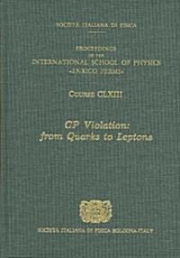 CP Violation (Hardcover)