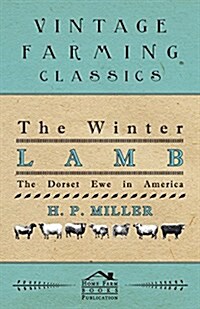 The Winter Lamb: The Dorset Ewe in America (Paperback)