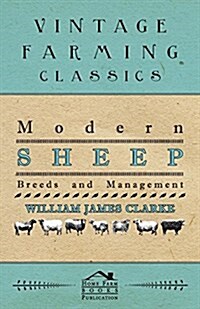 Modern Sheep - Breeds and Management (Paperback)