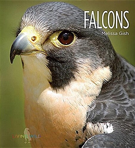 Falcons (Library Binding)