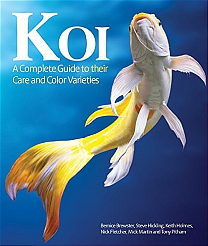 Koi: A Complete Guide to Their Care and Color Varieties (Paperback)