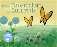 From Caterpillar to Butterfly (Paperback)