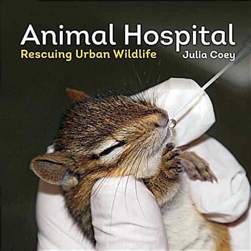 Animal Hospital: Rescuing Urban Wildlife (Hardcover)