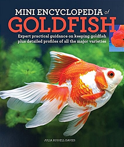 Mini Encyclopedia of Goldfish: Expert Practical Guidance on Keeping Goldfish Plus Detailed Profiles of All the Major Varieties (Paperback)