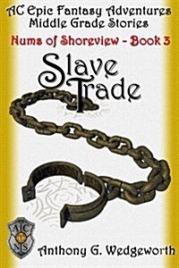 Slave Trade (Paperback)