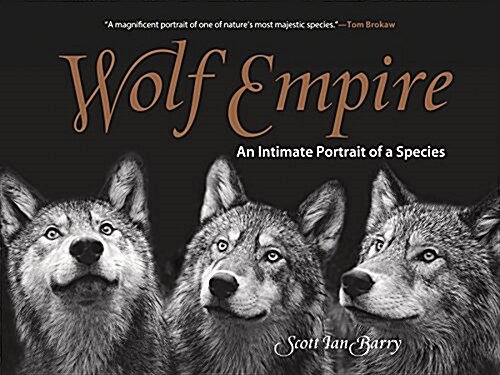 Wolf Empire: An Intimate Portrait of a Species (Paperback)