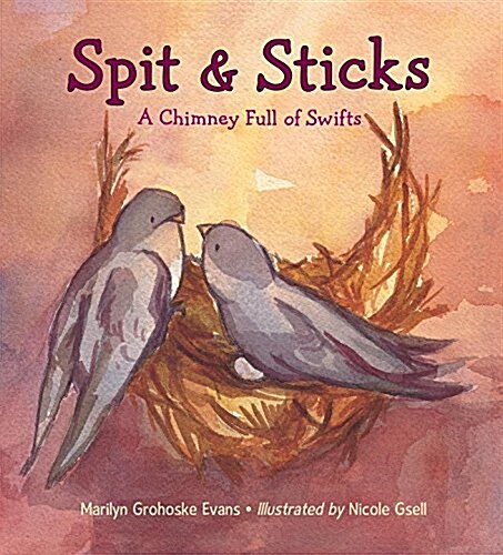 Spit & Sticks: A Chimney Full of Swifts (Hardcover)