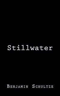 Stillwater (Paperback)