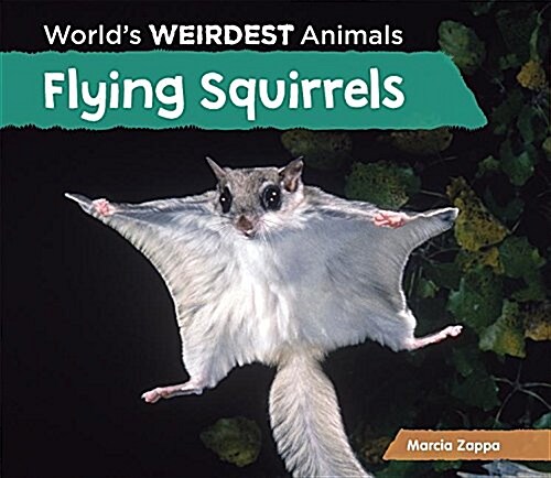 Flying Squirrels (Library Binding)
