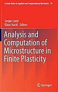 Analysis and Computation of Microstructure in Finite Plasticity (Hardcover, 2015)