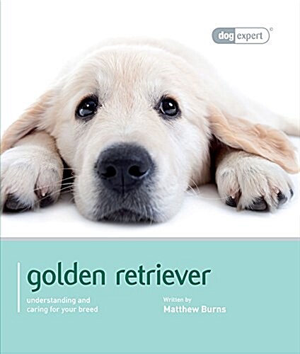 Golden Retriever - Dog Expert (Paperback)