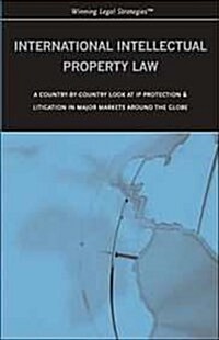 International Intellectual Property Law (Paperback)