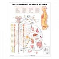 The Autonomic Nervous System Anatomical Chart (Other)