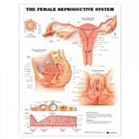 The Female Reproductive System Anatomical Chart (Other)