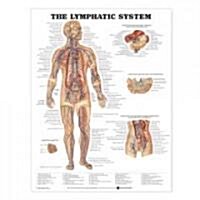 The Lymphatic System Anatomical Chart (Chart, 1st, Wall)
