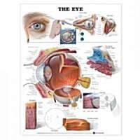 The Eye Anatomical Chart (Chart, Wall)