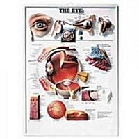 The the Eye 3d Raised Relief Chart (Chart, Wall)