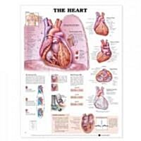 The Heart Anatomical Chart (Other)