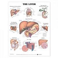 The Liver Anatomical Chart (Chart, Wall)