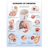 Dangers of Smoking Anatomical Chart (Chart, Wall)