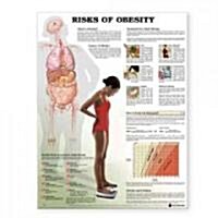 Risks of Obesity Anatomical Chart (Paperback, 1st, LAM, Wall)