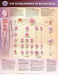 The The Development of Blood Cells Anatomical Chart (Chart, Wall)