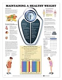 Maintaining A Healthy Weight (Chart, Wall)