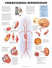 Understanding Hypertension (Chart, 1st, Wall)