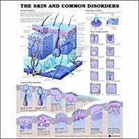 The The Skin and Common Disorders Anatomical Chart (Chart, 2nd, Wall)