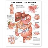 The The Digestive System Anatomical Chart (Chart, Wall)