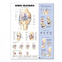 Knee Injuries Anatomical Chart (Other)