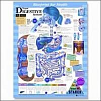 Blueprint for Health Your Digestive System Chart (Chart, Wall)