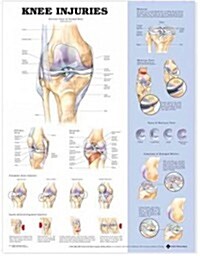 Knee Injuries Anatomical Chart (Other, Revised)
