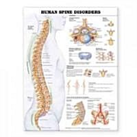 Human Spine Disorders Anatomical Chart (Chart, 2nd, Wall)