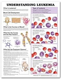 Understanding Leukemia Anatomical Chart (Other)