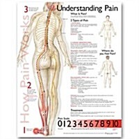 Understanding Pain Anatomical Chart (Other)